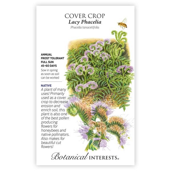 Lacy Phacelia Cover Crop Seeds Discount - Image 3