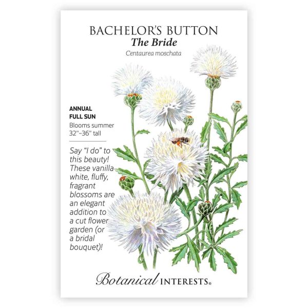 The Bride Bachelor s Button Seeds For Discount - Image 3
