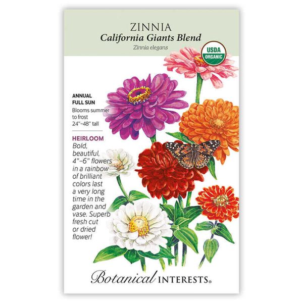 California Giants Blend Zinnia Seeds Cheap - Image 3